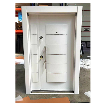 External Security door - OPT102